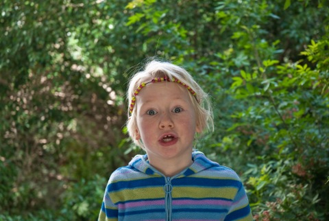 dsc_0672 dsc_0672